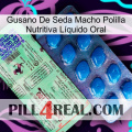 Gusano De Seda Macho Polilla Nutritiva Líquido Oral new02